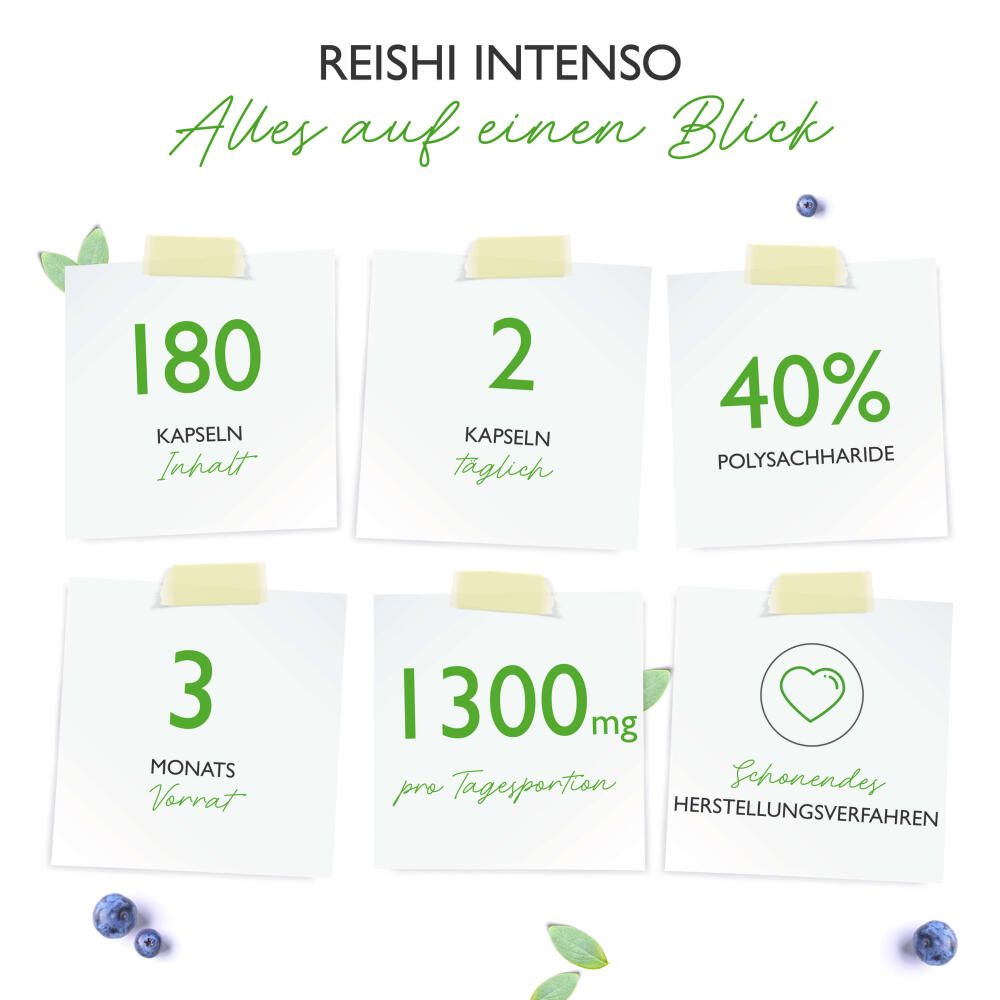 vit4ever Reishi Intenso Pilz