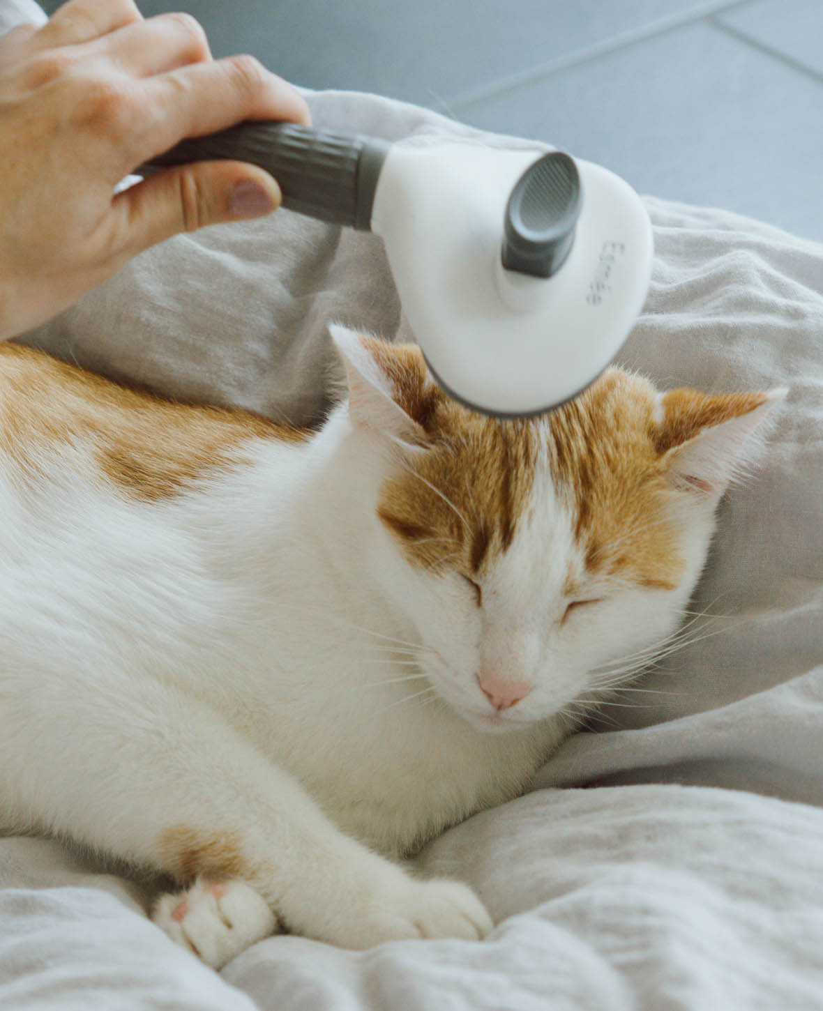 Esmée Pets - Selbstreinigende Haustier Fellbürste für Katzen / Hunde Fellpflege - Grau