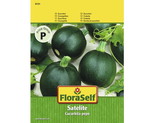 Courgette 'Satellite' FloraSelf F1 Hybride Groentezaden
