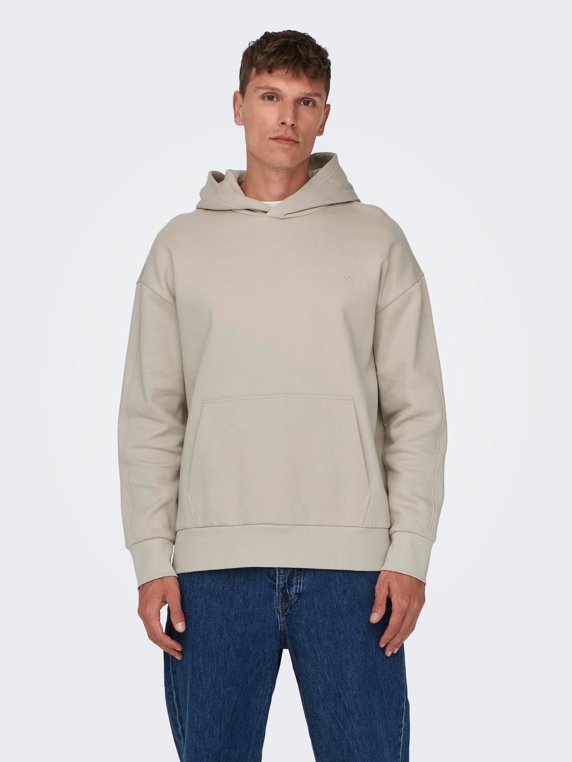 ONSDAN Sweatshirt Silver Lining