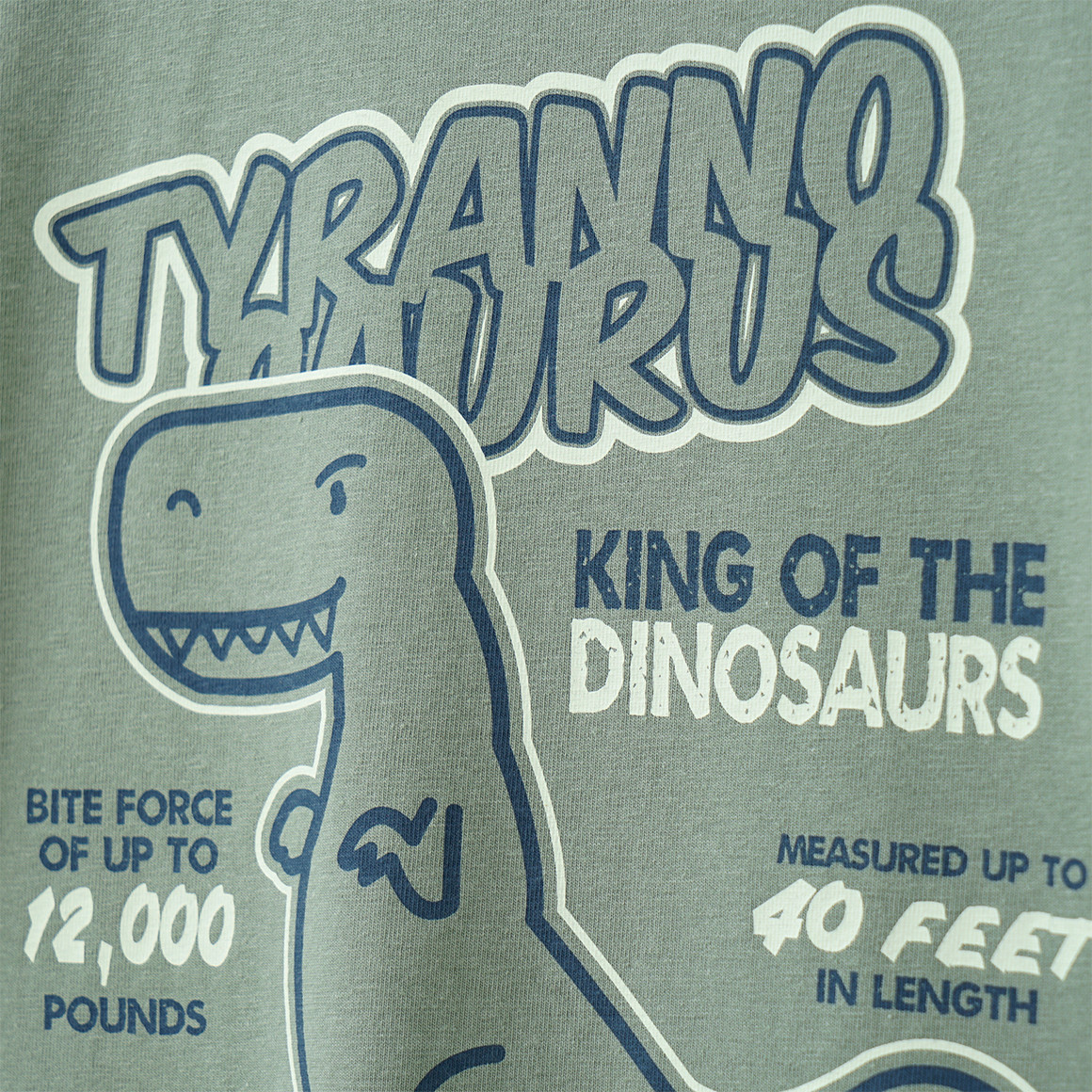 Famy 3 Jungen T-Shirts mit Dino-Prints salbei / hellgrün / blau