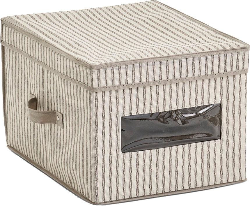 Zeller Present Aufbewahrungsbox »Stripes« Vlies, beige