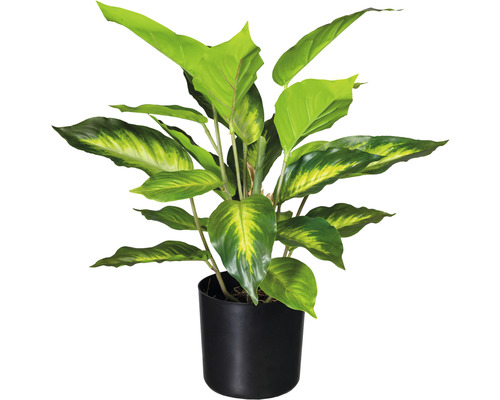 Kunstplant Dieffenbachia, hoogte: 45 cm, groen
