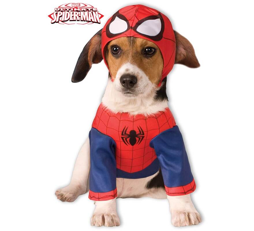 Fantasia do Homem-Aranha para cães