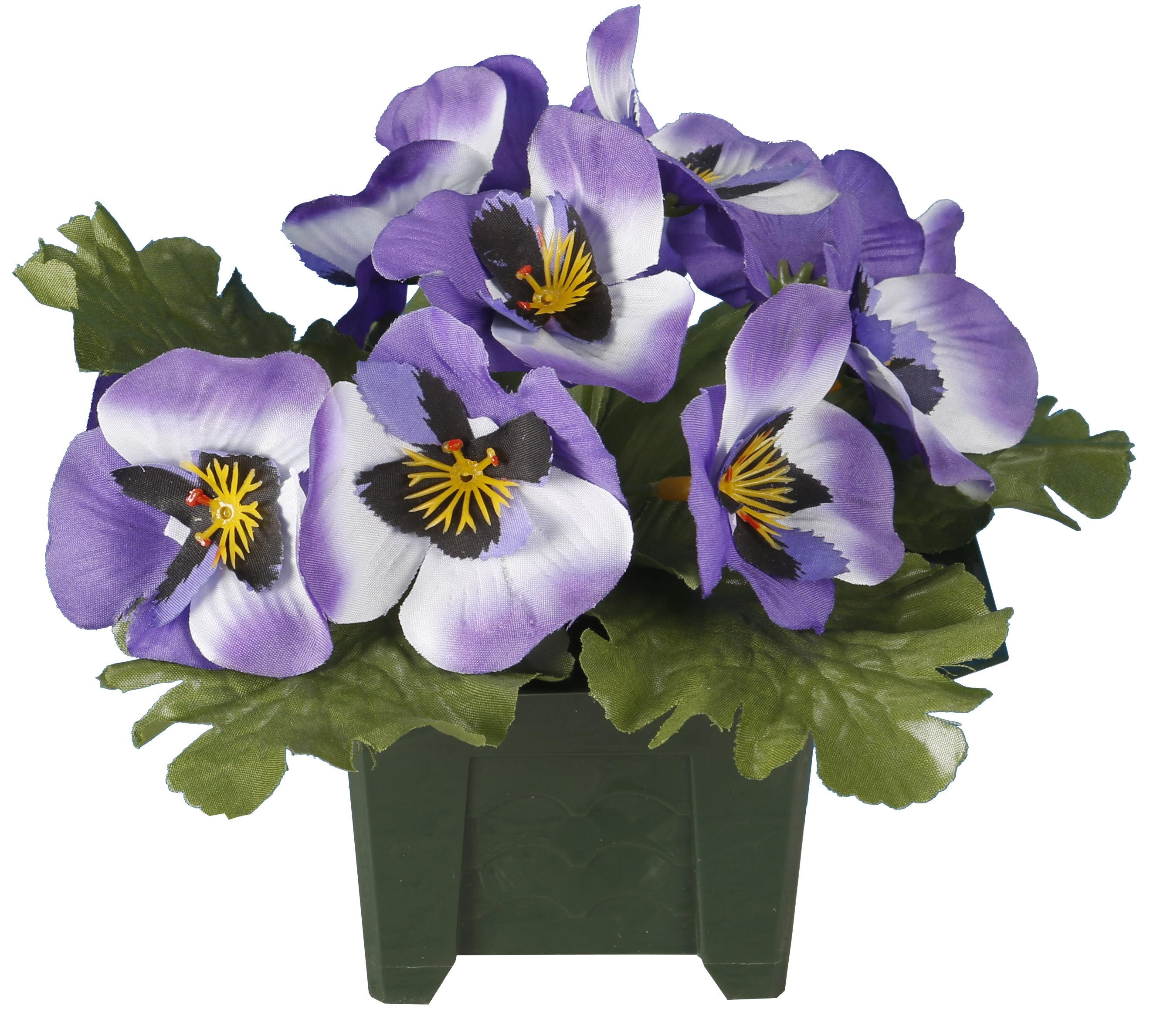 COLUMBARIUM POT PENSEES