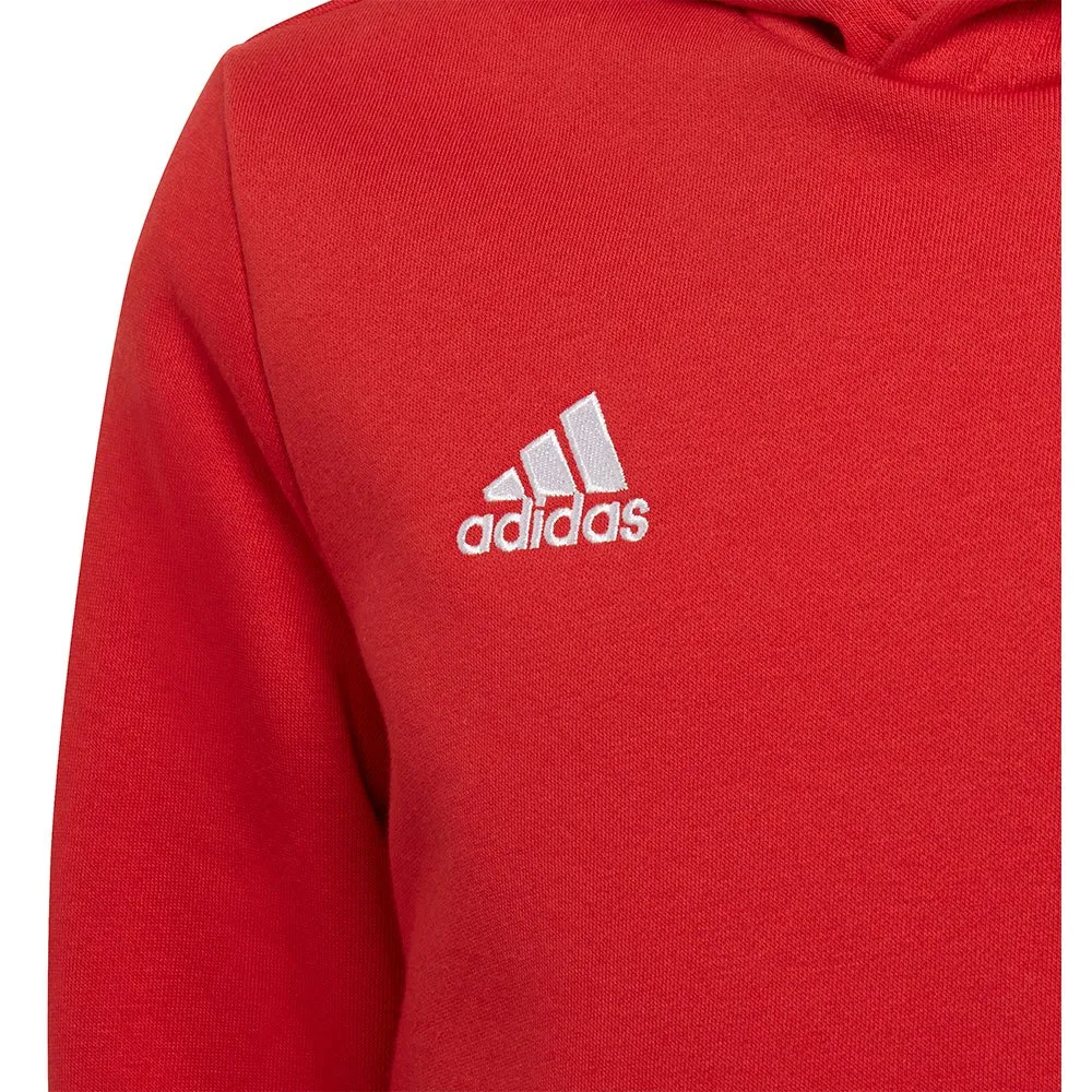 Moletom adidas Entrada 22