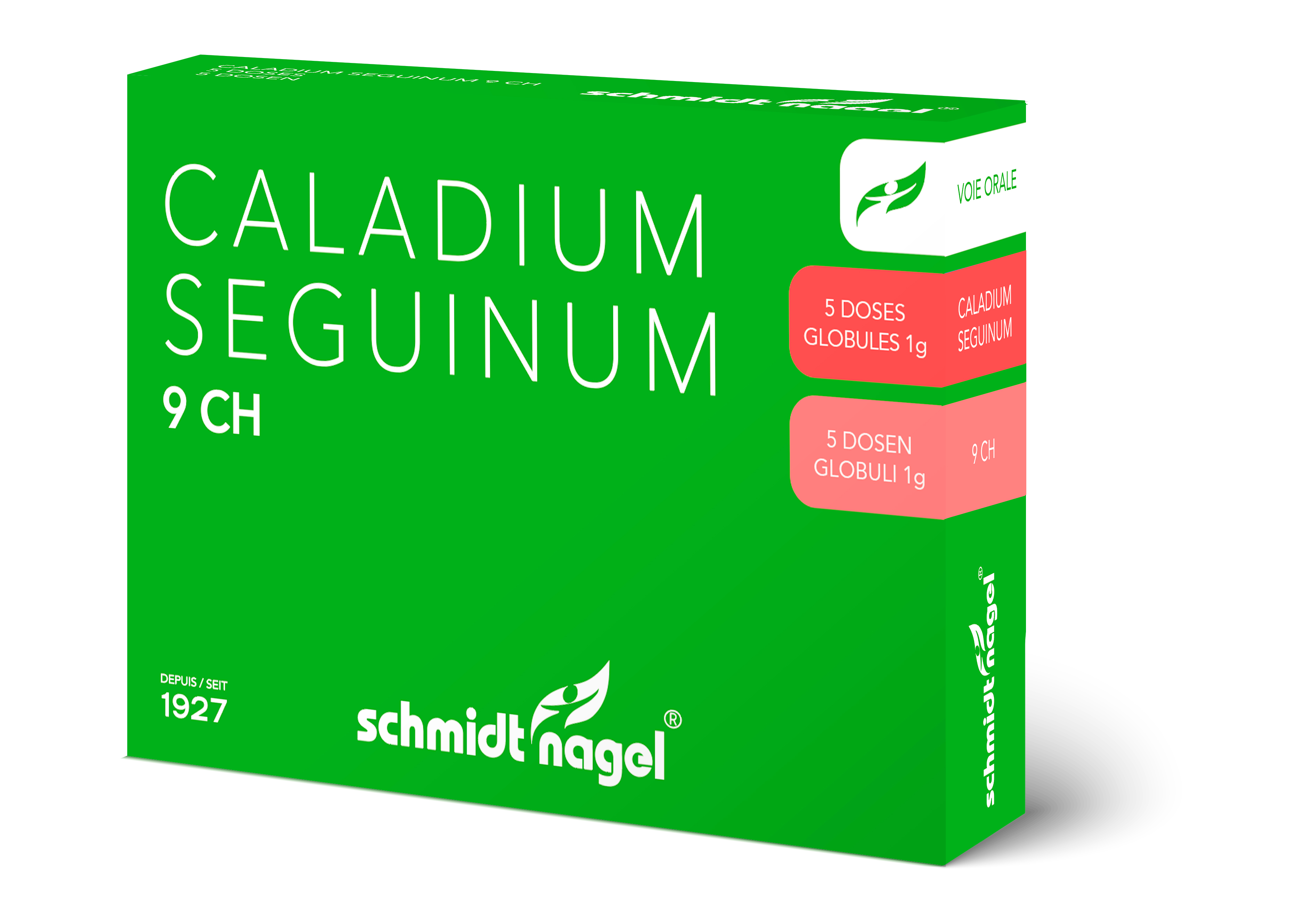 SCHMIDT-NAGEL Caladium seguinum Glob 9 CH 1 g