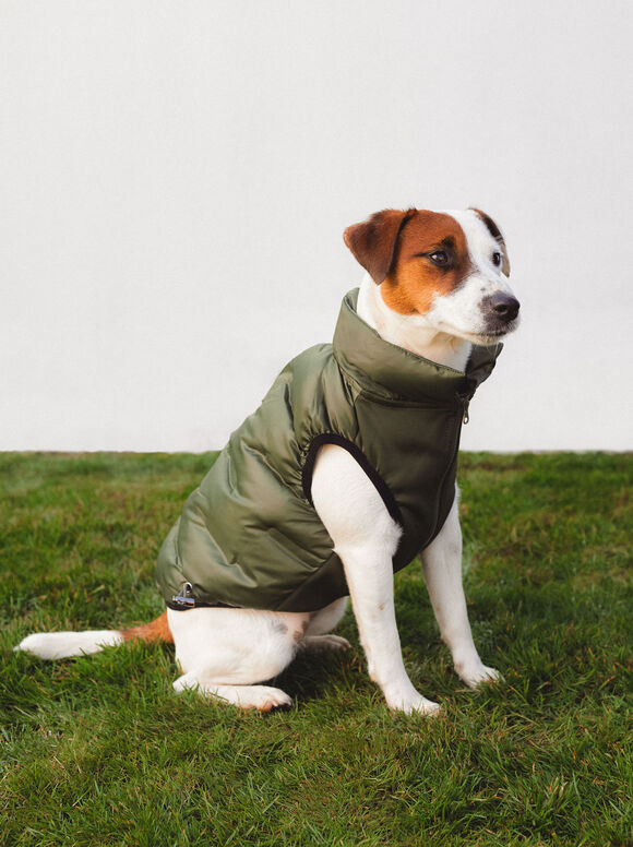 Colete personalizável para cães - Cáqui