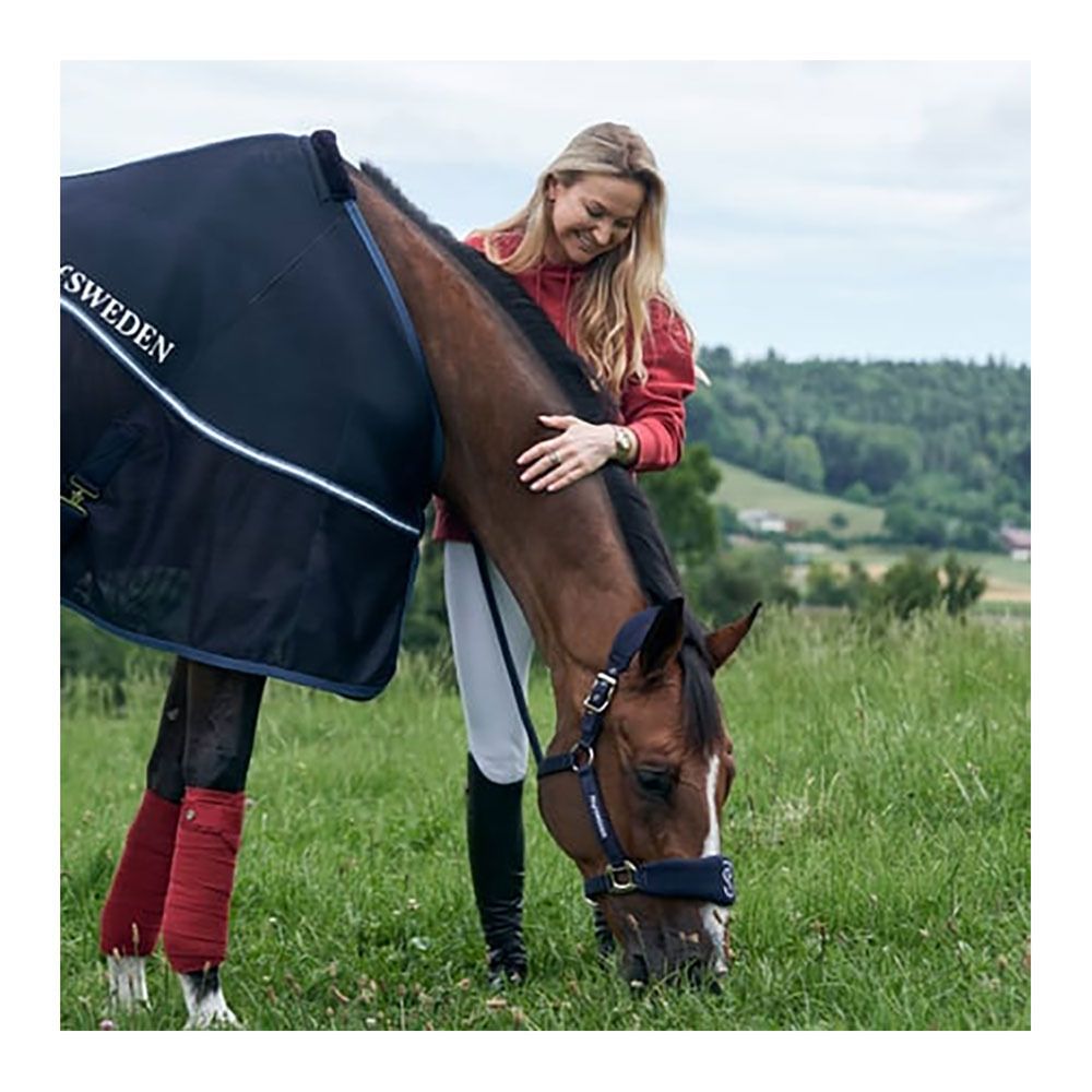 PS of Sweden SIGNATURE - Bandes de polo x4 burnt orange