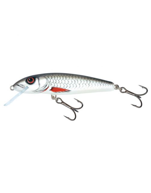 Salmo Minnow Floating 6cm Dace - Plug -