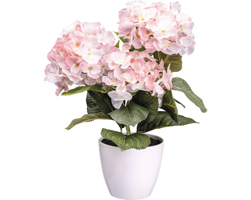 Kunsthortensia struik, hoogte: 32 cm, roze en wit