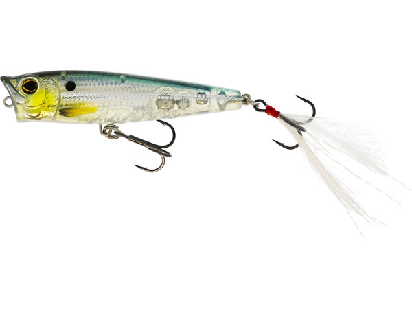 Leurre de surface Westin Spot-On Popper 6.5cm (7g) (sans plomb)