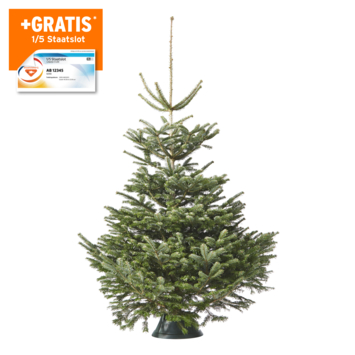 Nordmann Kerstboom 225-275 cm