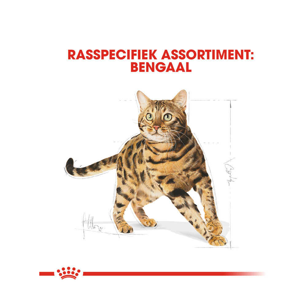 Royal Canin Adult Bengal - Kattenvoer