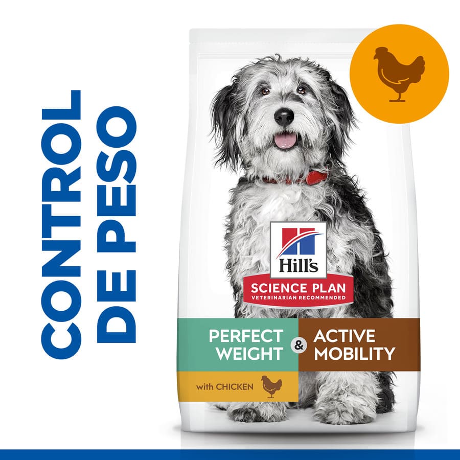Plano de Ciências Hill's Peso Perfeito e Mobilidade Ativa frango pienso para cães