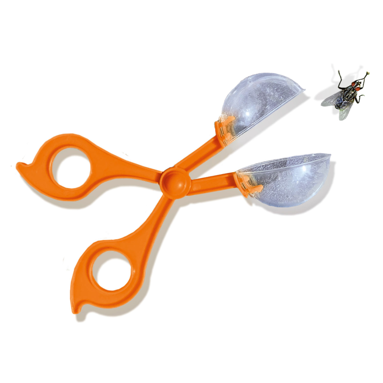 SES Explore - Insecten Explorer