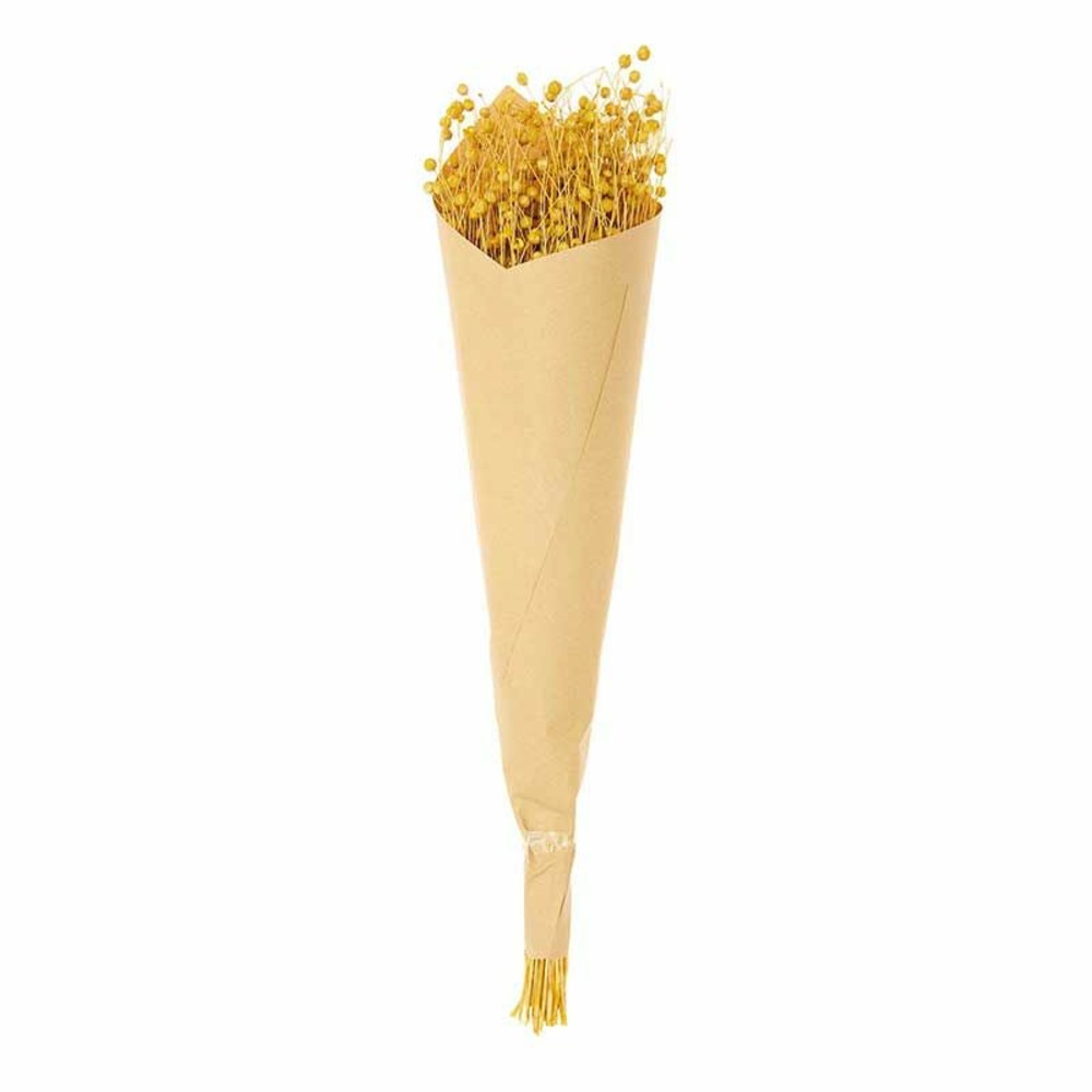 Lins séchés jaune - 70 cm