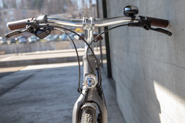 LAZY DAY GATES ALFINE 8 Men City- und Alltagsvelo  metall matt  48 CM