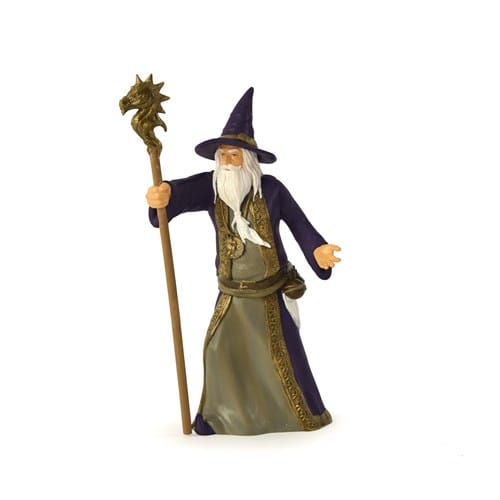 Le sorcier