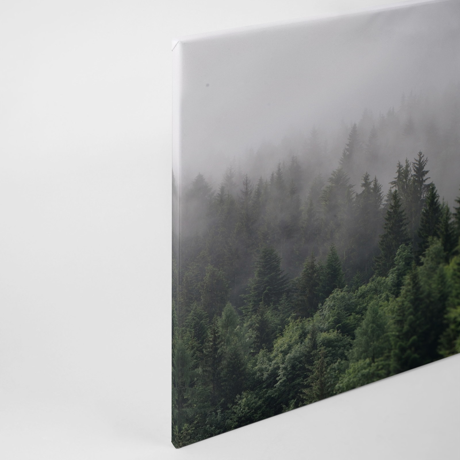 Leinwandbild WALD - grün - 90x60 cm