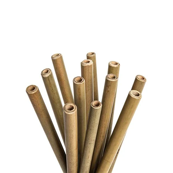 Set de 24 pailles réutilisables en bambou Lebrun