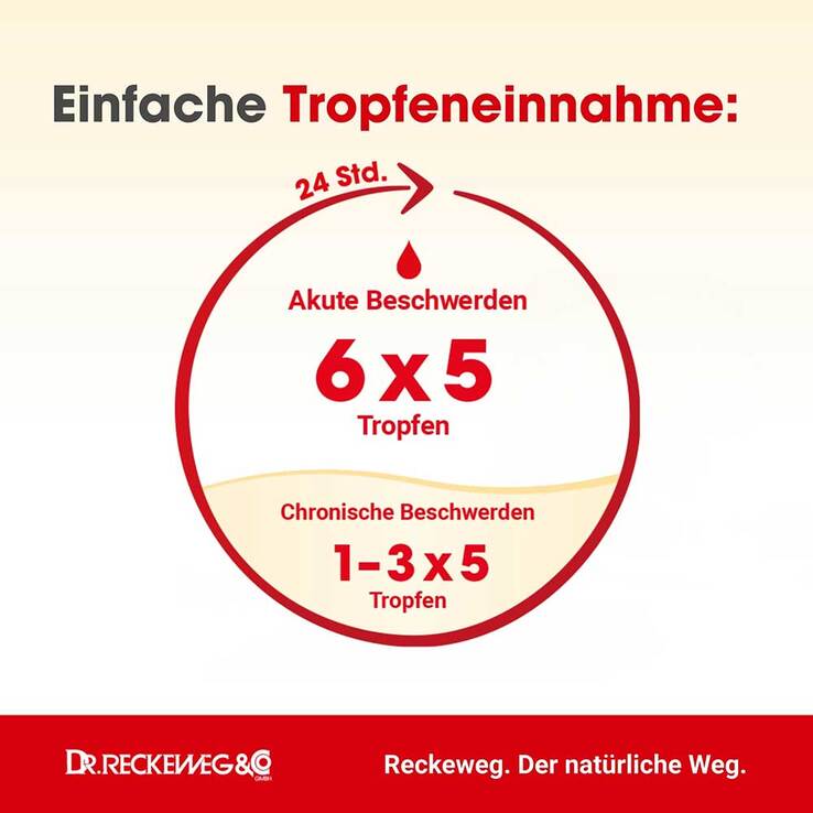 Angina-Gastreu S R1 Tropfen zum Einnehmen, 22 ml