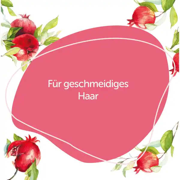 Festes Shampoo Feuchtigkeit