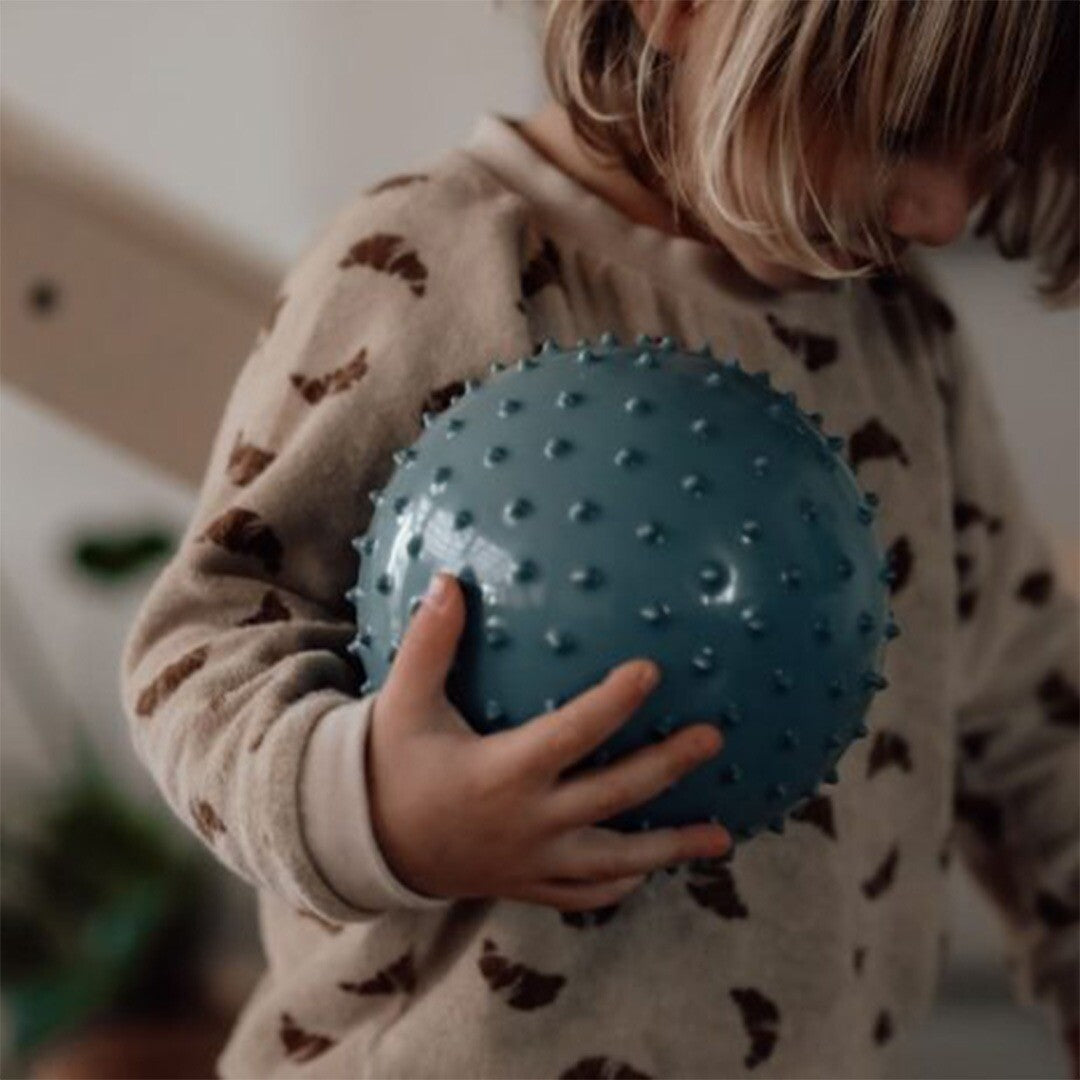 Find that hippo sensorische ballen - blauw - 2st