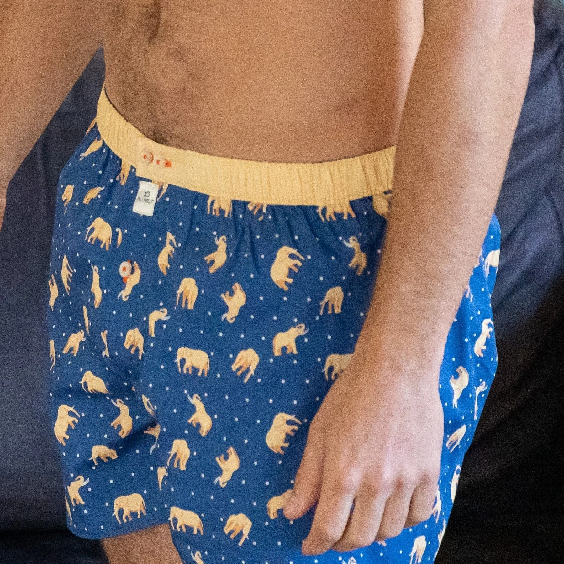 ELEPHANT DREAM - Caleçon en coton biologique | Bleu