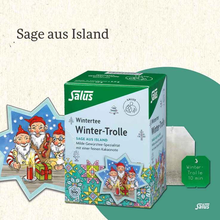 Winter-Trolle Wintertee Gewürztee Bio Salus Fbeutel , 15 St
