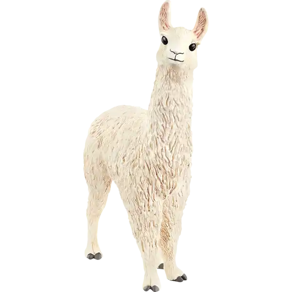 13920 Lama