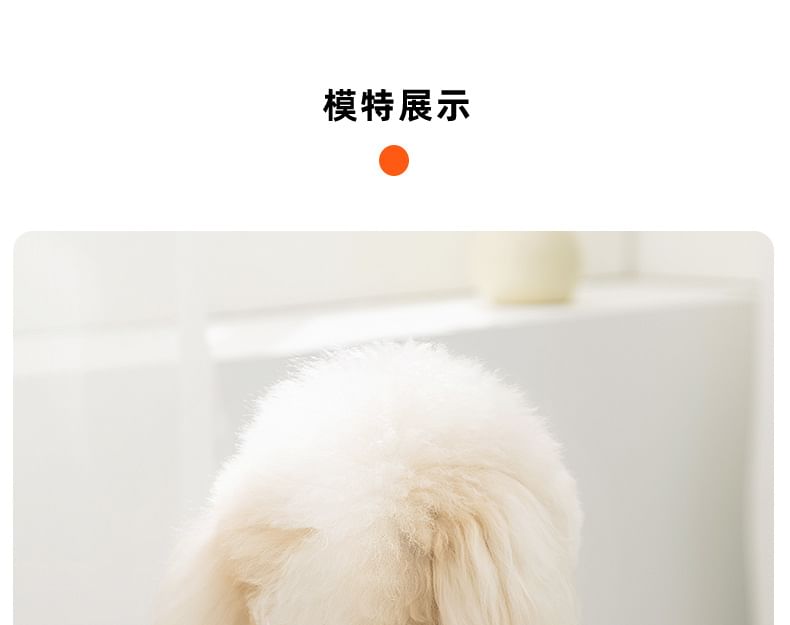 Cissilli - Fruit Pet Top (verschillende ontwerpen)