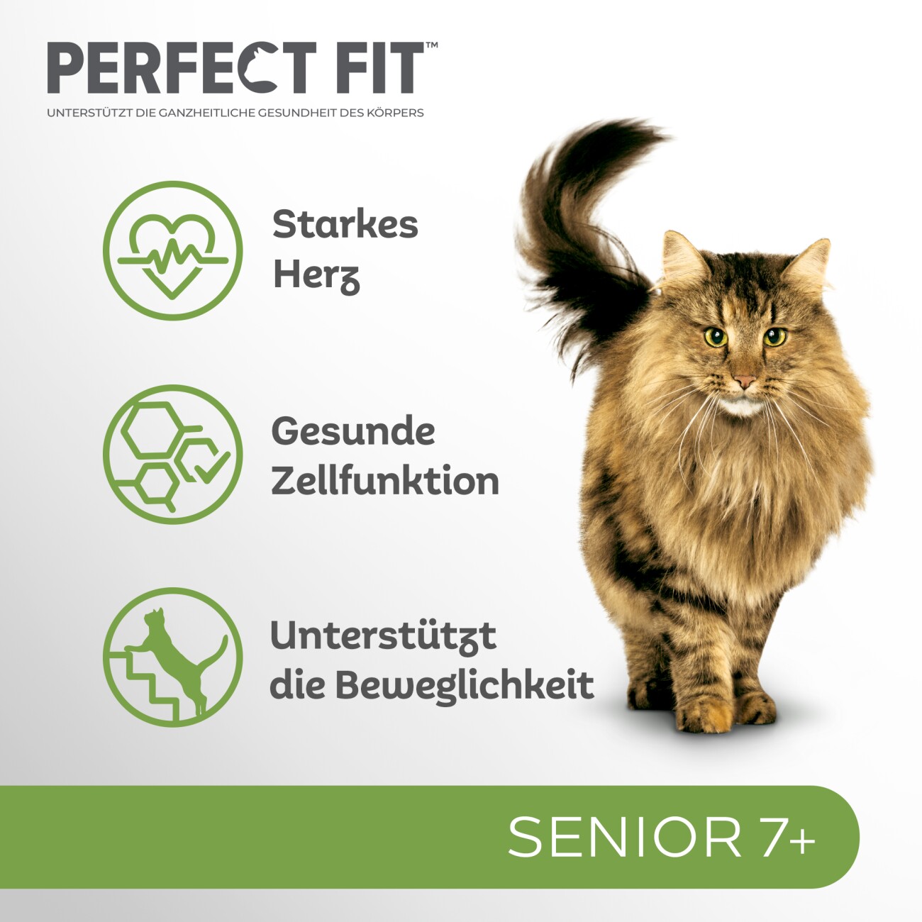 PERFECT FIT Senior 7+ mit Huhn 1,4 kg