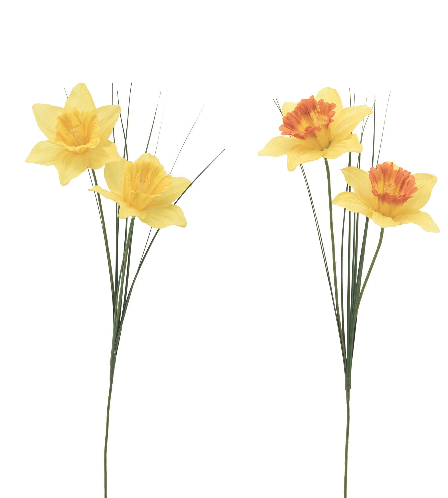 TIGE 2 JONQUILLES H.71CM