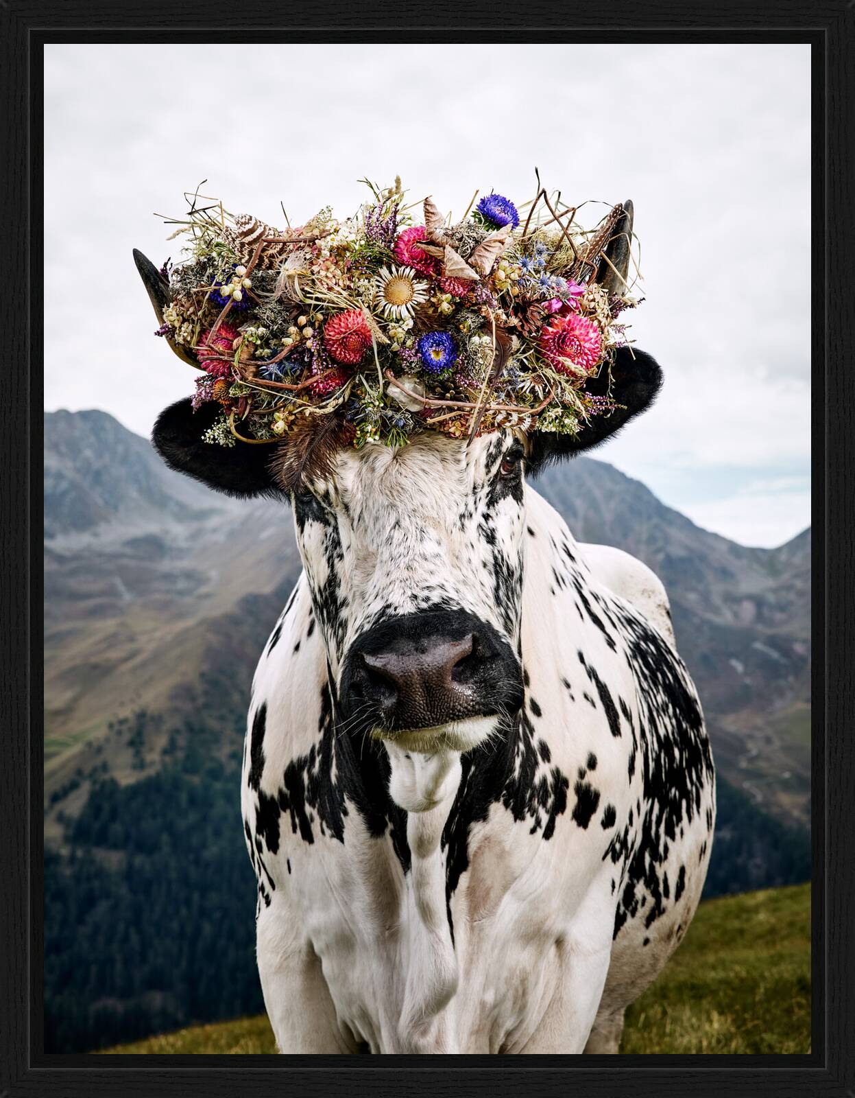 Merle by Ramona Waldner - Limited Edition. Edition of: 150. Signed.