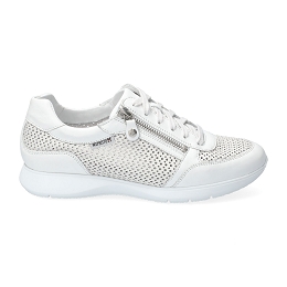 molly perf  SILK 7830/oregon 1330  WHITE