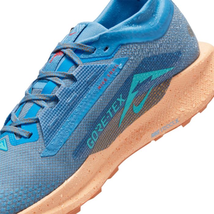 Nike Herre Trailsko Pegasus Trail 5 Gore-Tex Blå