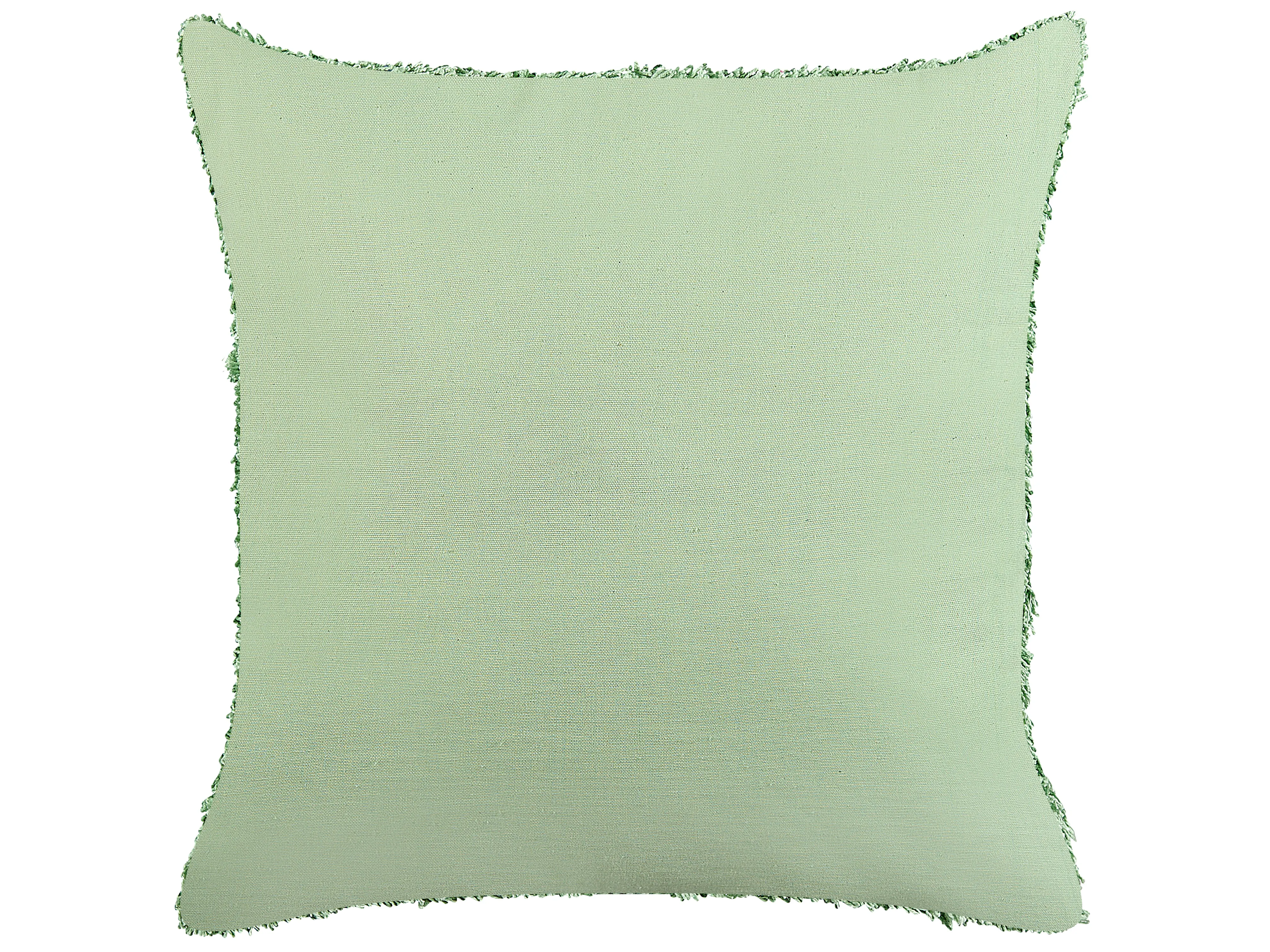 Set van 2 sierkussens RHOEO Katoen 45 x 45 cm Lichtgroen