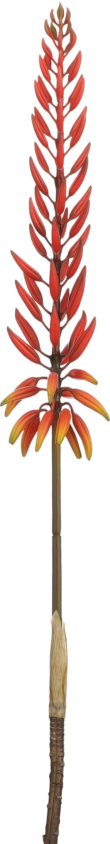 Mica Decorations kunstbloem Aloë rood L 71 cm