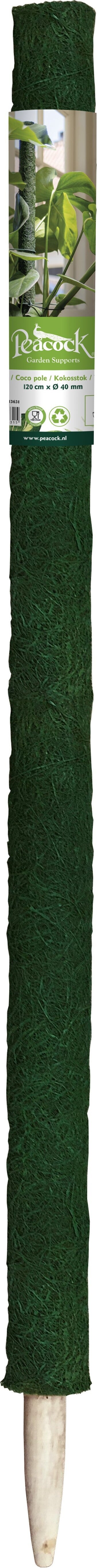 Peacock plantenstok groen D 4 H 120 cm