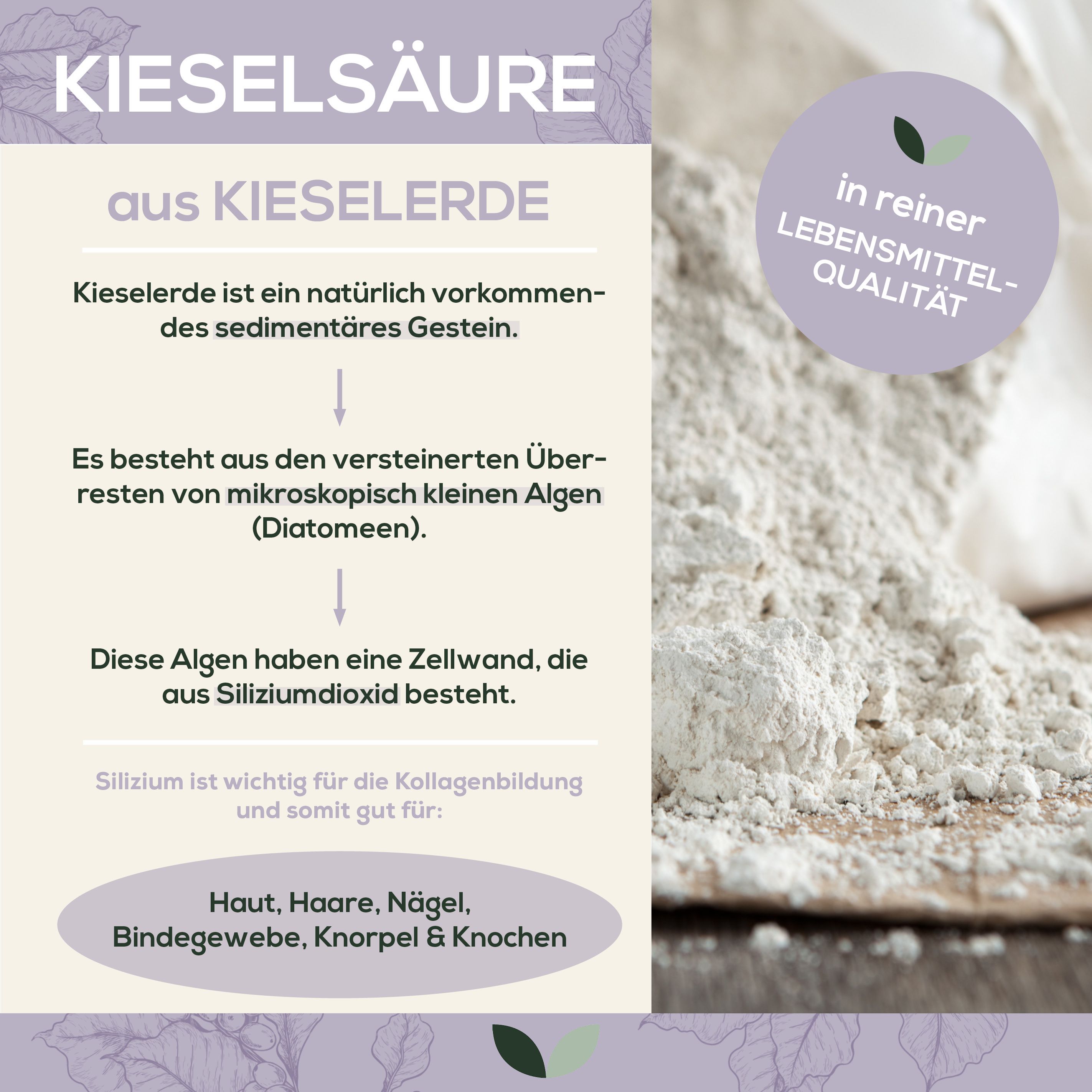 Sanutrition® - reine Kieselsäure