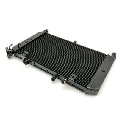 Radiateur Brazoline ADAPTABLE