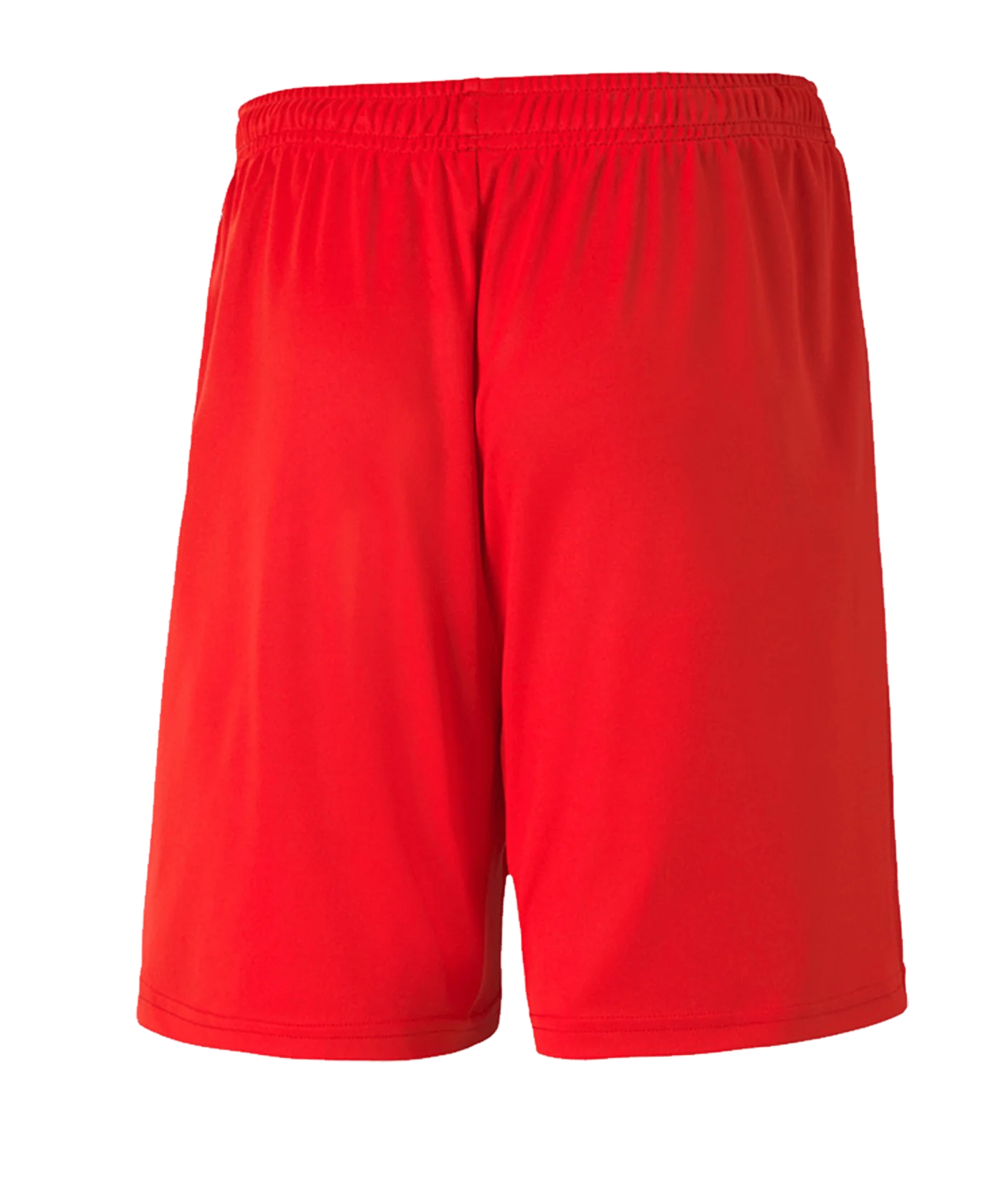 PUMA teamGOAL 23 Knit Short Kids Rot F01