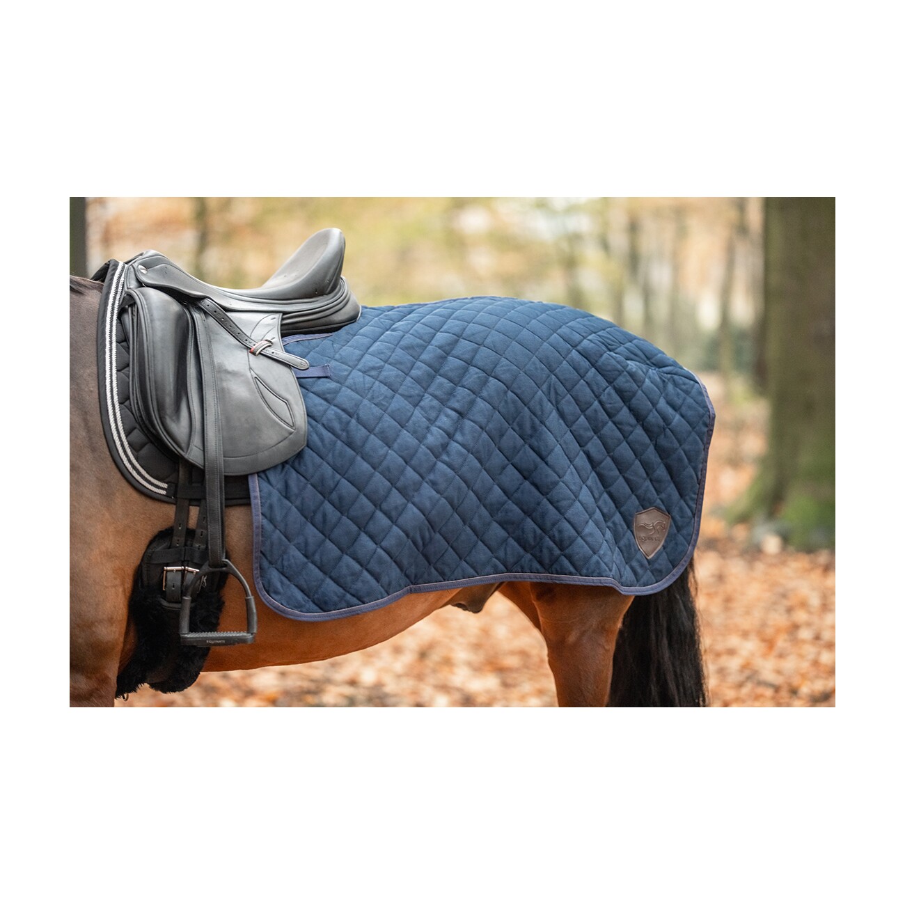 Equinate Ausreitdecke Lancaster mit Teddyfell navy M