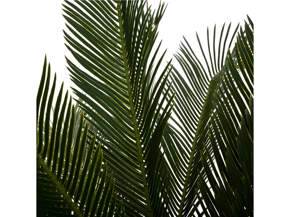 Plante artificielle Ananas en pot H 90 cm