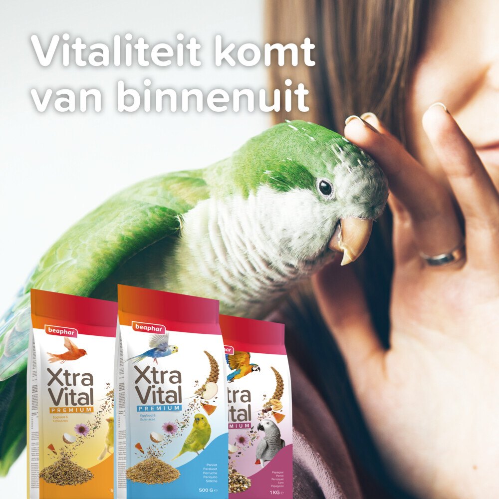 Beaphar XtraVital Kanarie 500 gr