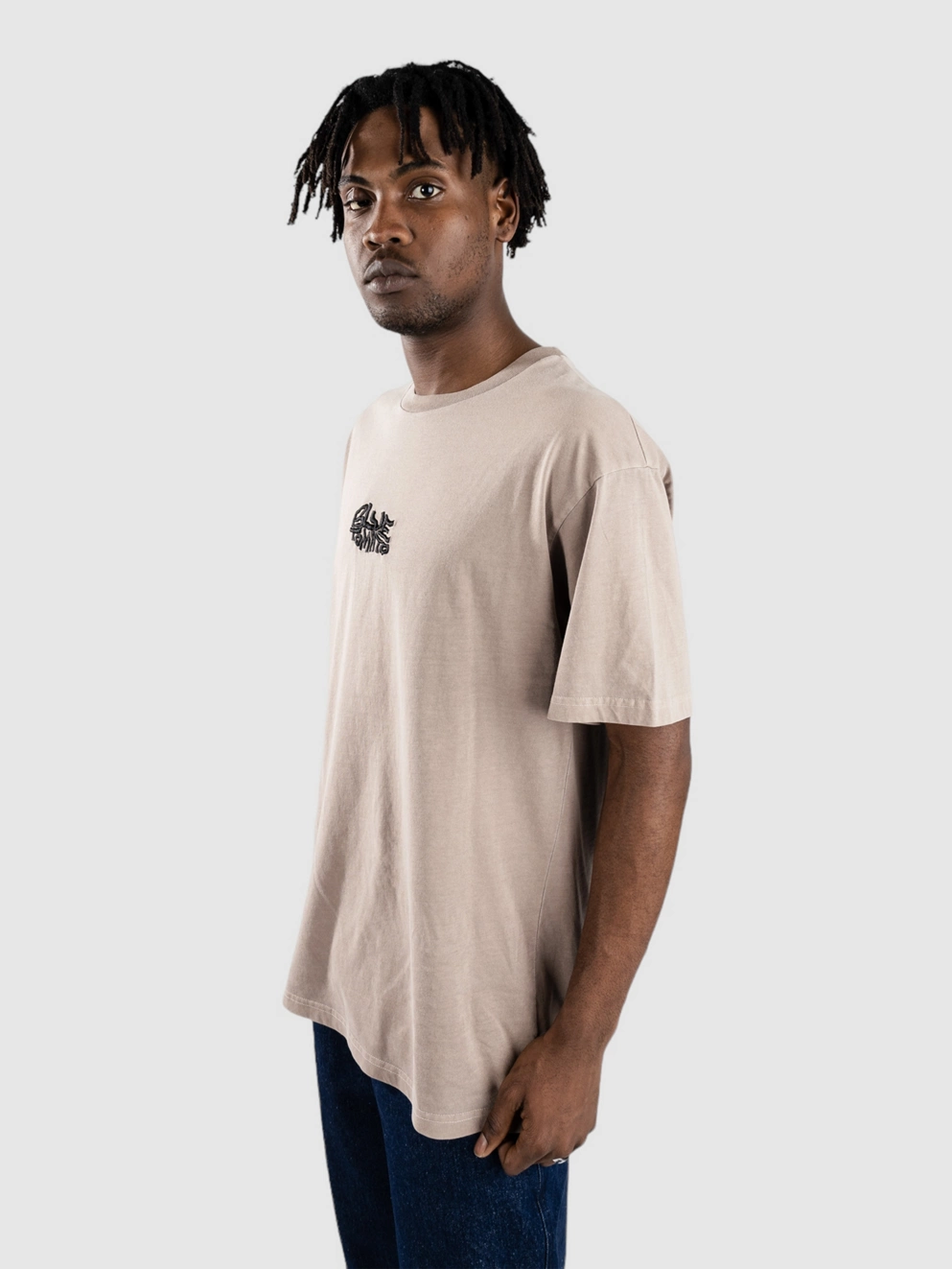 Blue Tomato Mini Logo 2 T-Shirt etherea