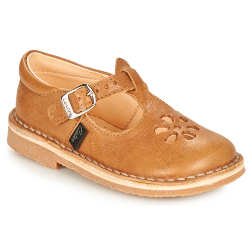 Aster - DINGO - Camel