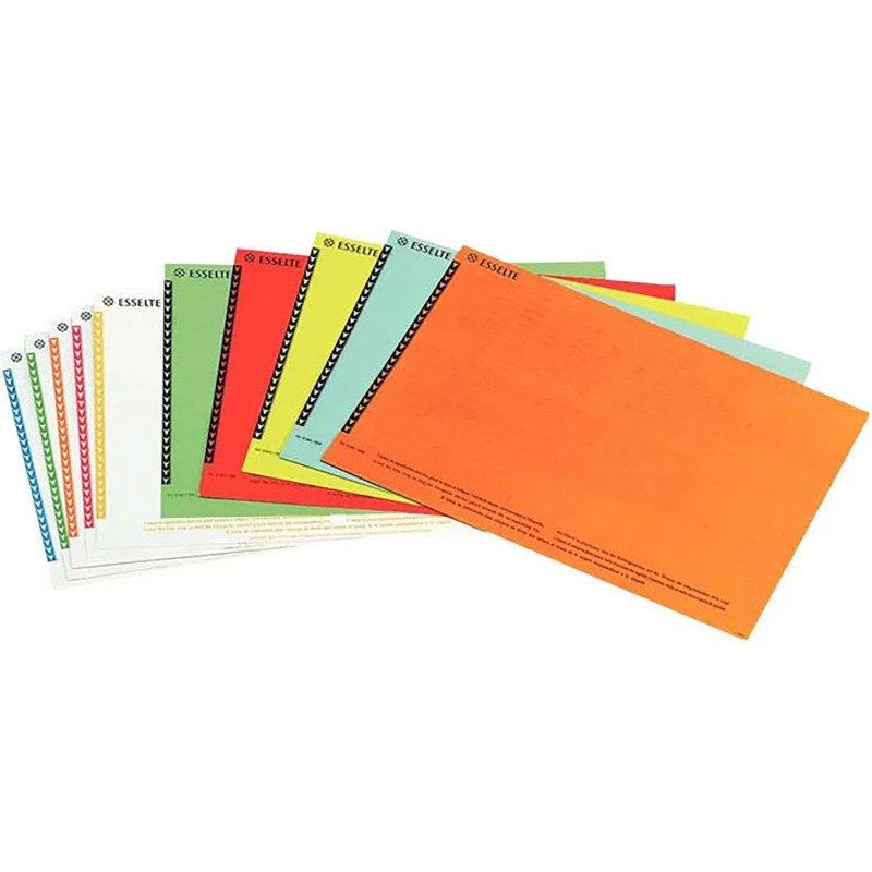 Etiquettes pour dossiers suspendus pour armoire 6 x 138 mm Esselte couleurs assorties - Paquet de 250