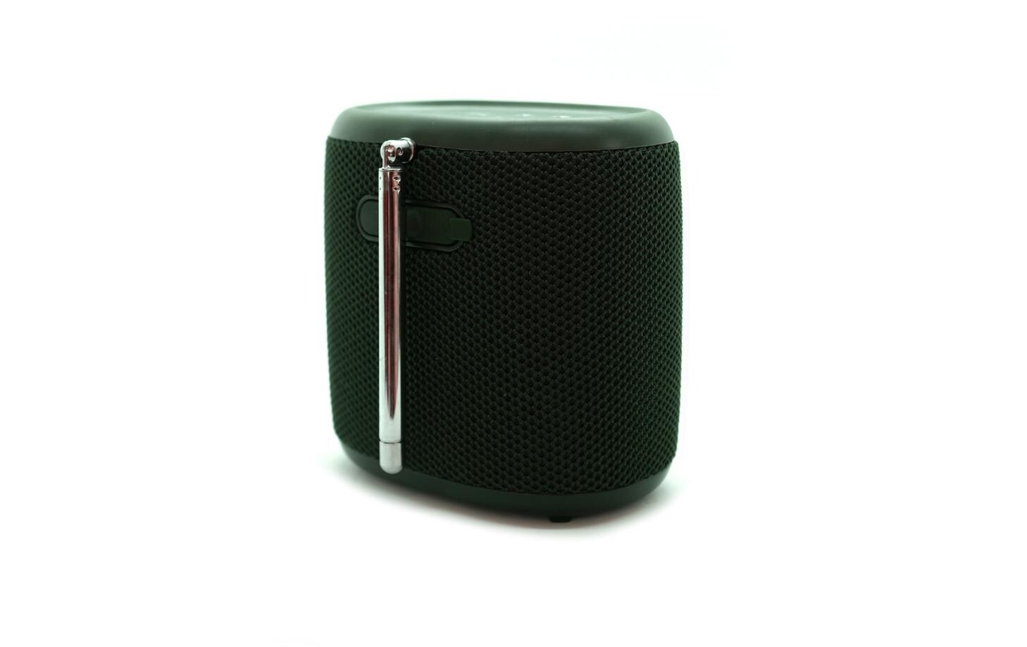 Radio Woodland Mini GrünKompakter Outdoor-Lautsprecher